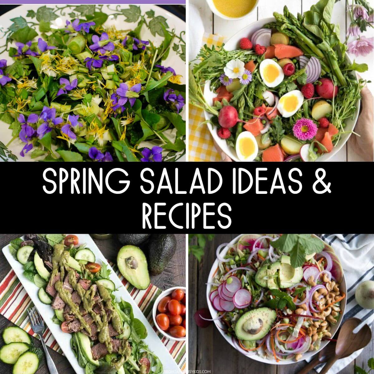 Spring Salad Ideas & Recipes